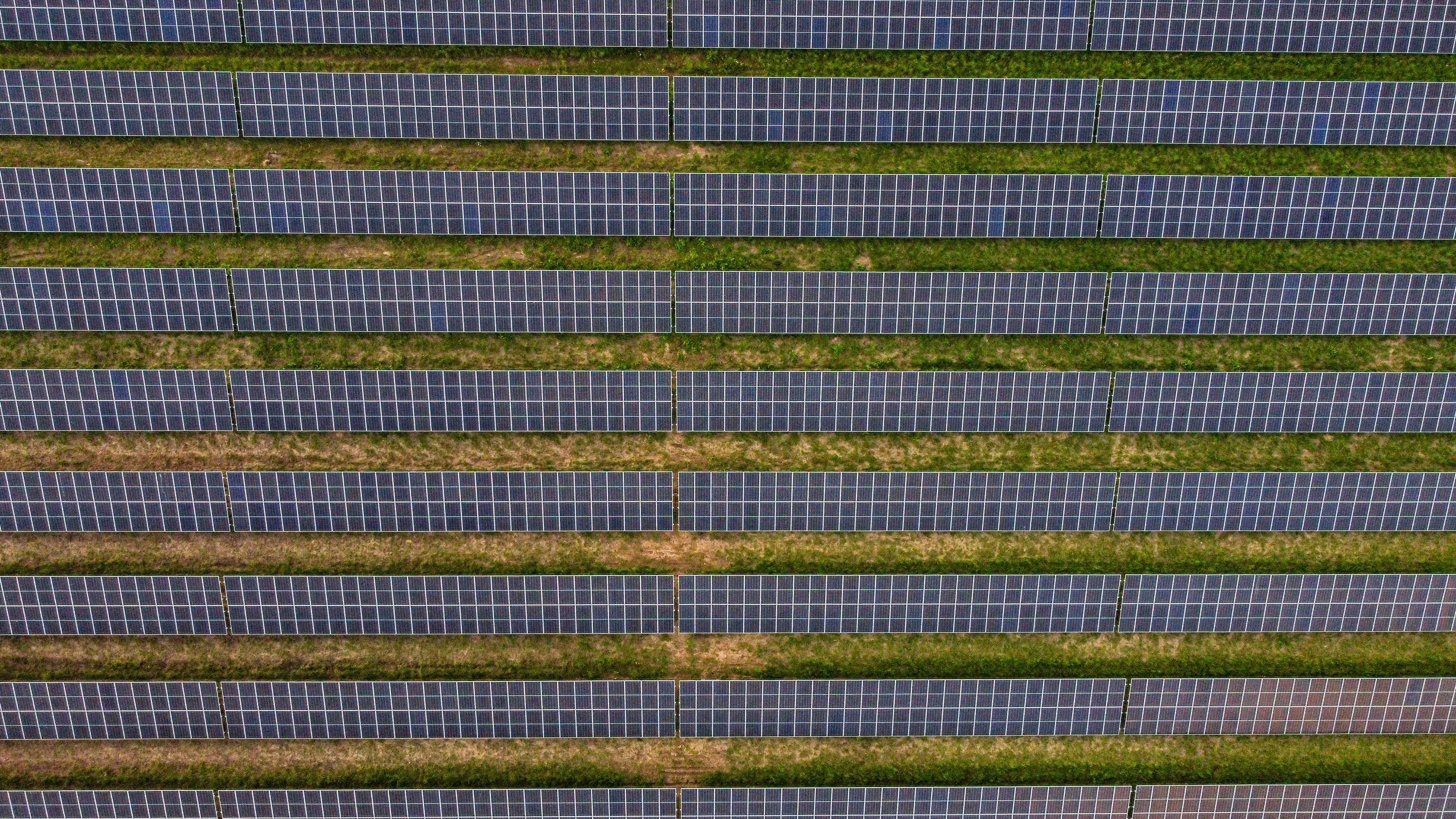 Hileras de paneles solares en una planta fotovoltaica